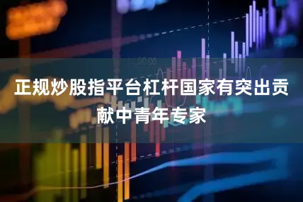正规炒股指平台杠杆国家有突出贡献中青年专家
