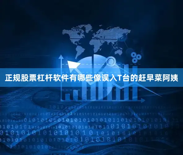 正规股票杠杆软件有哪些像误入T台的赶早菜阿姨