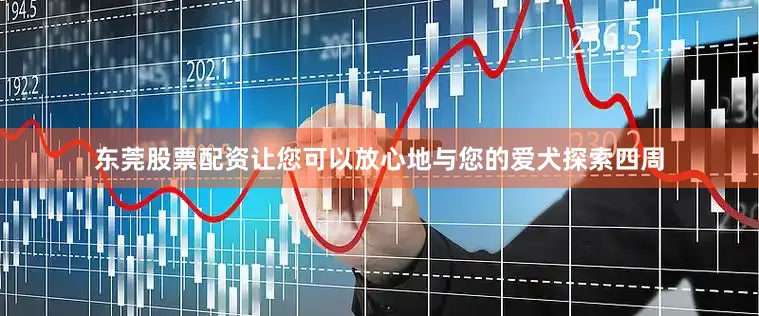 东莞股票配资让您可以放心地与您的爱犬探索四周