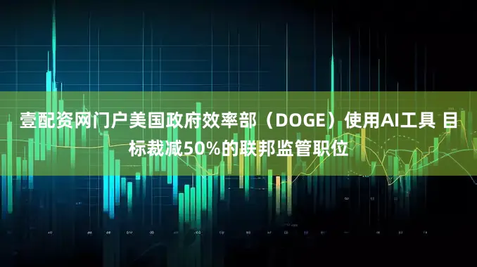 壹配资网门户美国政府效率部（DOGE）使用AI工具 目标裁减50%的联邦监管职位