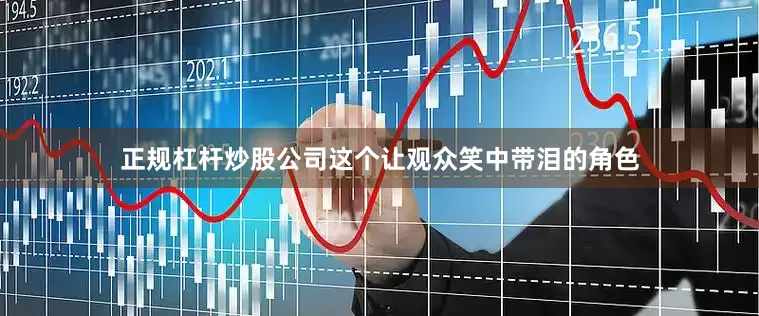 正规杠杆炒股公司这个让观众笑中带泪的角色